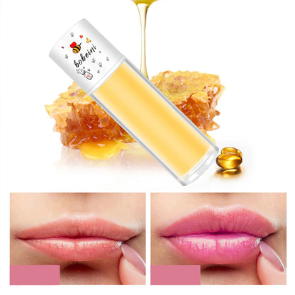 Bee Lip Oil Water-shine Glass Transparent Lip Honey Dry Repair Lip Care toot Lip Moisturizing Lip Oil