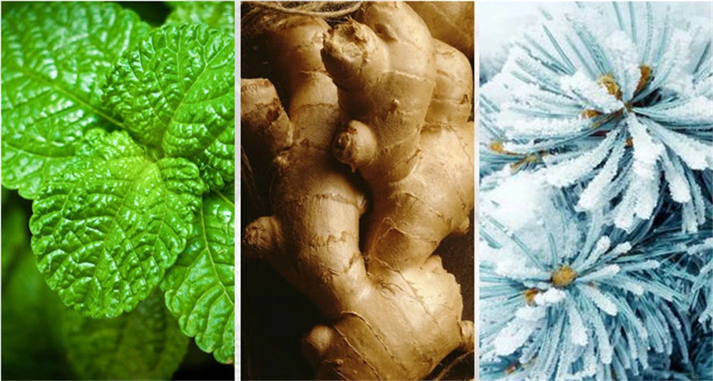 100ML Original Blue de Chavnk Inspired Perfume - Woody Aromatic & Fresh Citrus Fragrance, Long Lasting Versatile Scent for Men