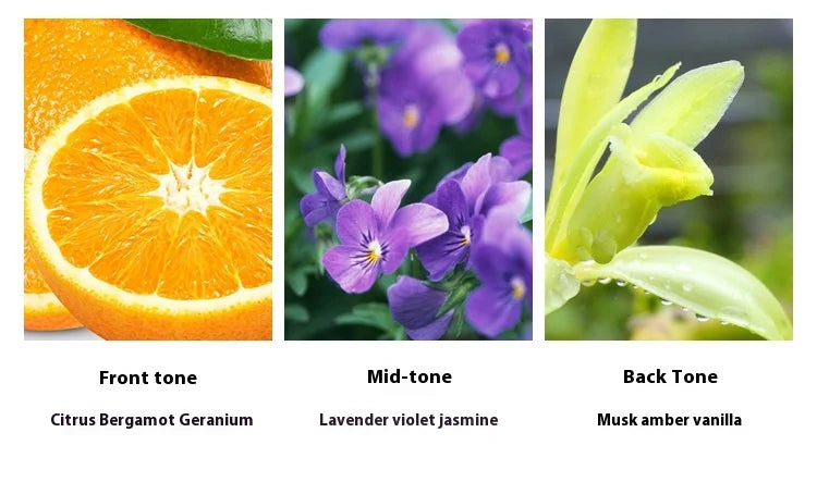 75ML Blue Jeans Inspired Perfume-Aromatic Fougere Fragrance，Long Lasting Fresh Scent in Denim Bottle, Affordable Retro Cologne